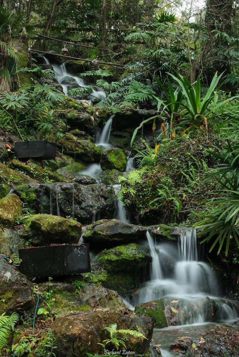 Rainbow Springs State Park (near Ocala)