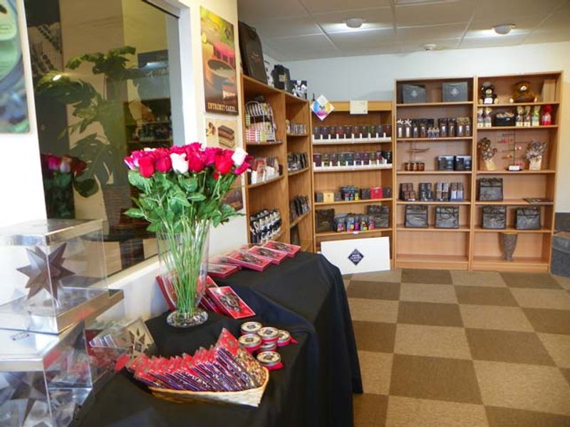 The Retail Store and What You Can Buy