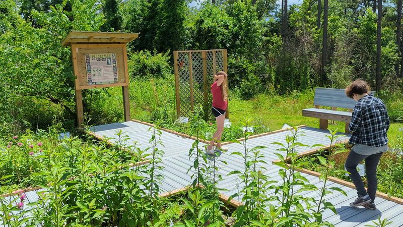 The Butterfly Garden That Sneaks Up on You