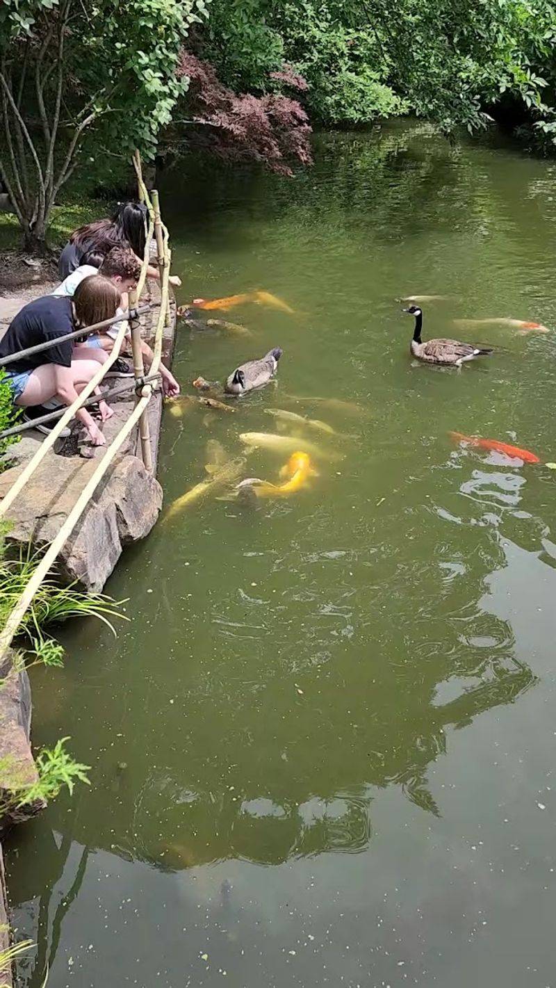 Missouri Botanical Garden (Seiwa-en) — St. Louis