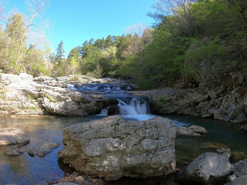 Camping Under the Ouachita Canopy