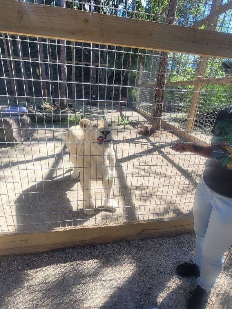 Repeat Visits: Why People Keep Coming Back Again and Again