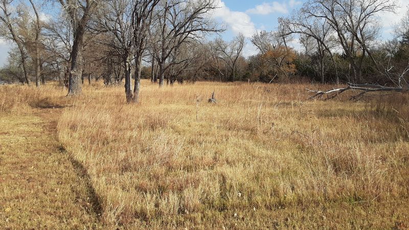 Wheat Fields and Red Dirt Roads: The Landscape Up Close