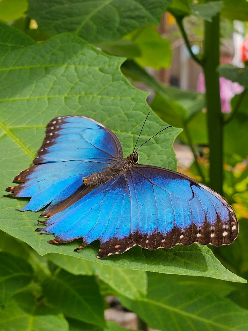 Learning without the lecture