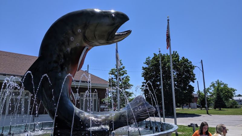 Why I would gladly stop again