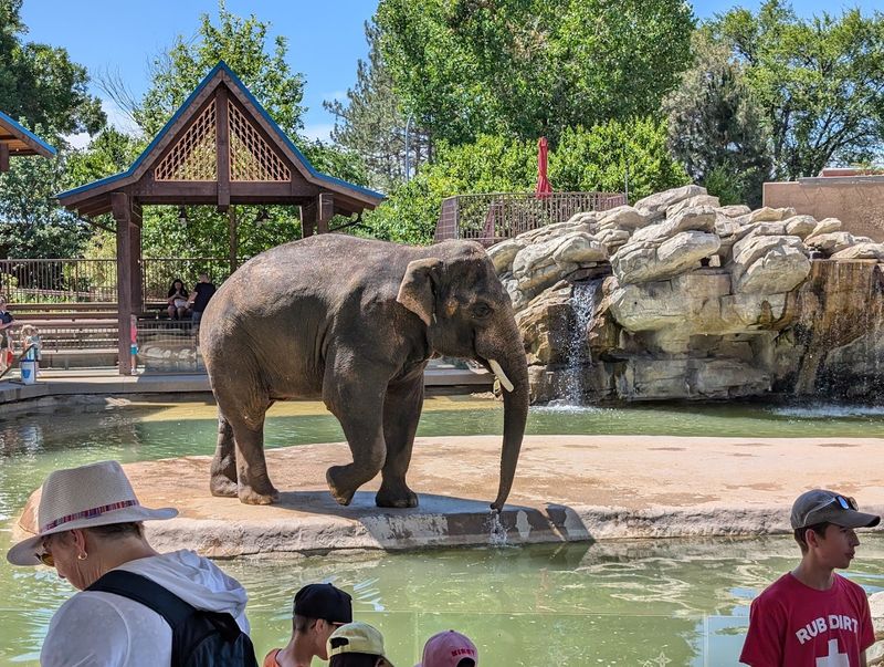 Denver Zoo (Colorado)