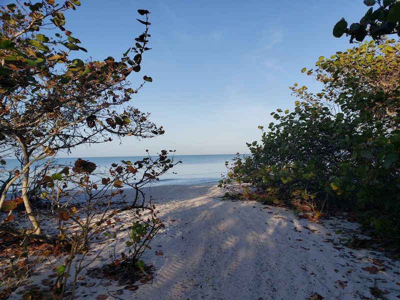 Hurricane Recovery and the Park's Resilient Spirit