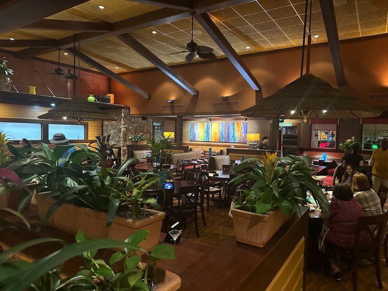 Live Music That Sets the Whole Mood