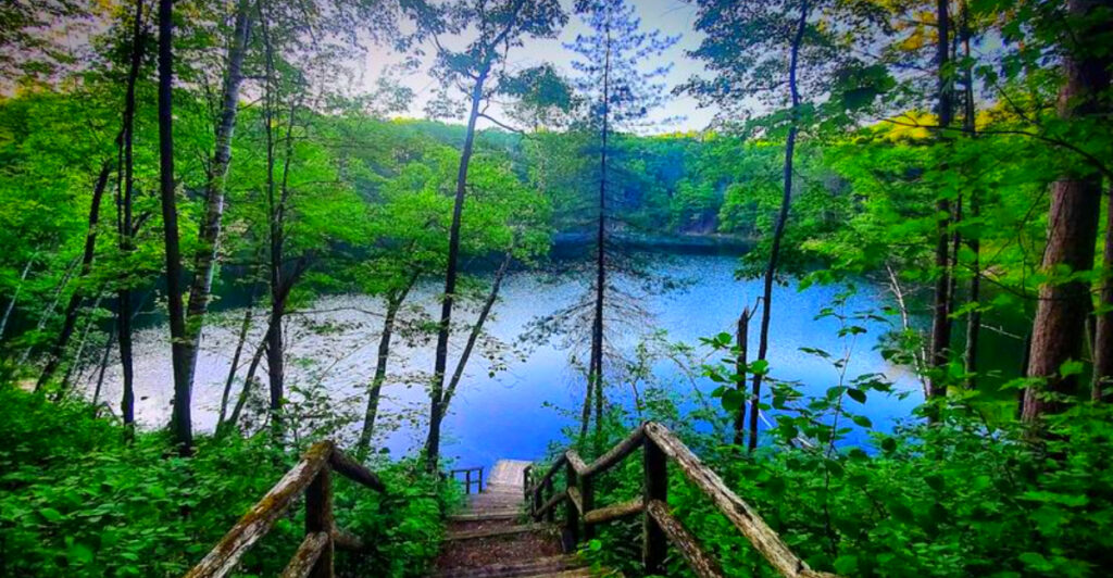 Spanning Nearly a Million Acres, This Massive Forest Is One of Michigan’s Greatest Outdoor Escapes