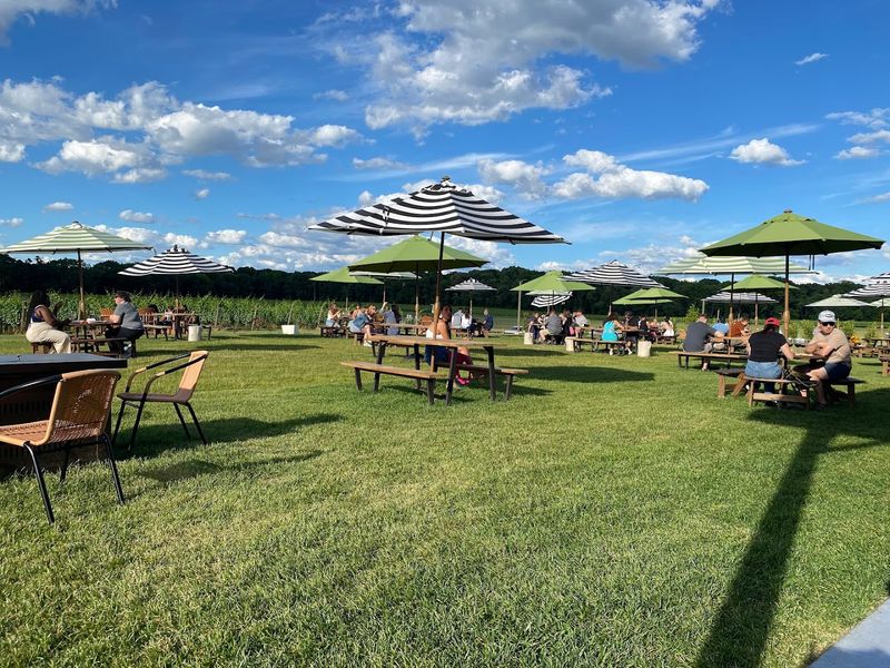 The Patio Experience and Outdoor Seating Setup