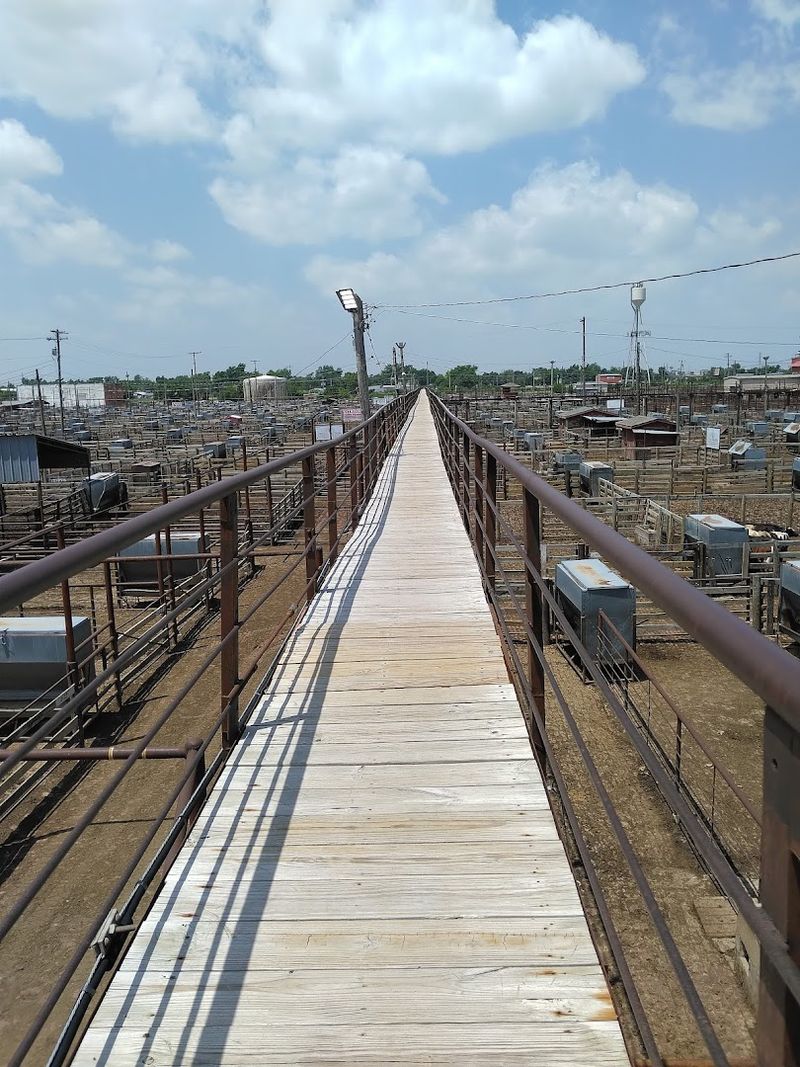 Tips for Planning Your Visit