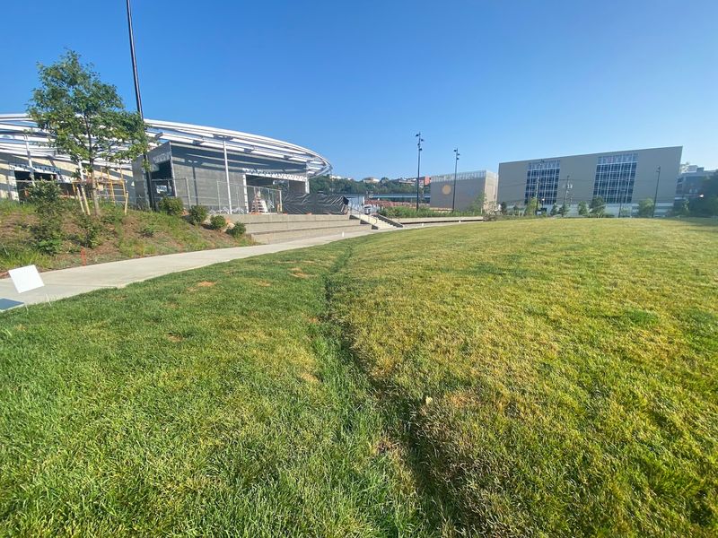 The Great Lawn and What It Actually Looks Like