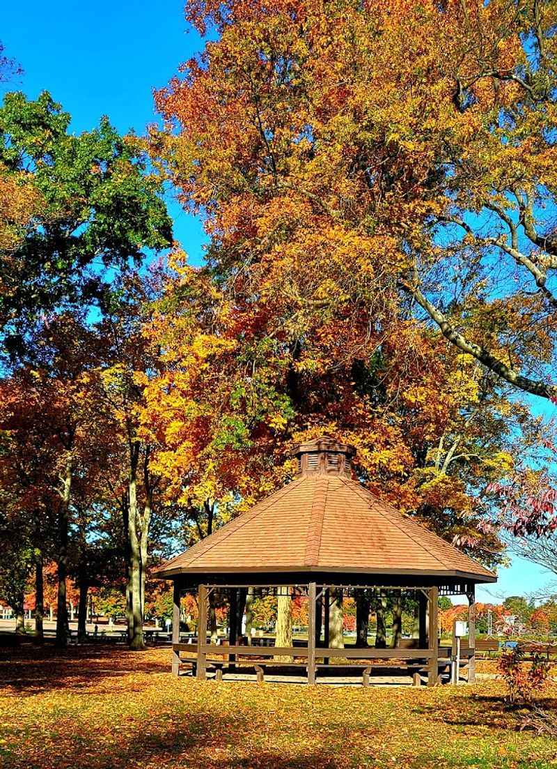 Picnic Areas Built for Real Family Gatherings