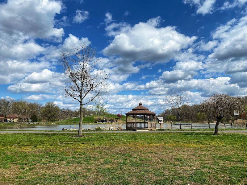 Picnics, Parties, and Gatherings