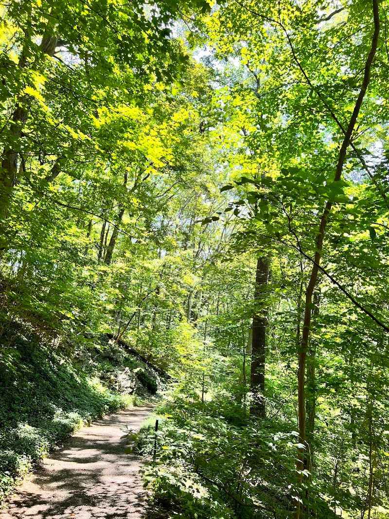 The Trail System and How to Navigate It