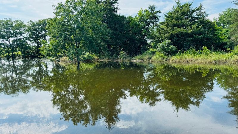 What to Know Before Your First Visit