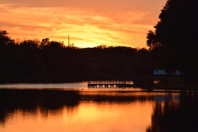 Cabin Life at the Park