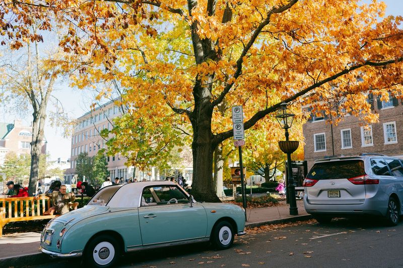 The Palmer Square Setting Adds to the Whole Experience