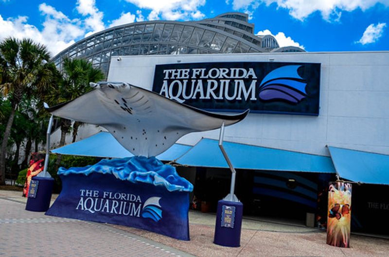 Practical Tips: Tickets, Timing, and Getting There