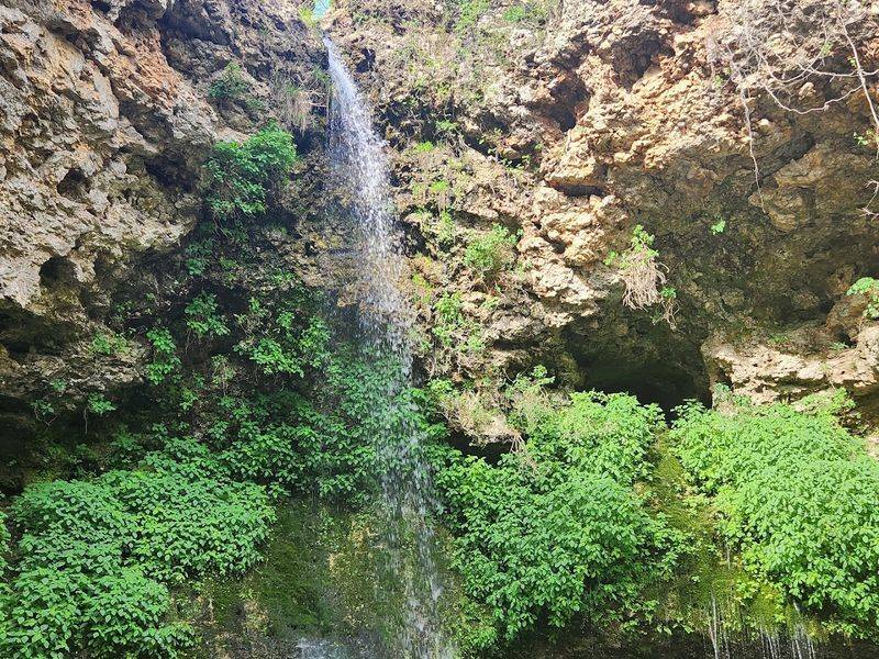 Dripping Springs and the Canyon Details