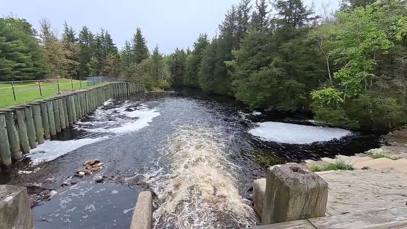 Double Trouble State Park (Berkeley/Lacey, Ocean County)