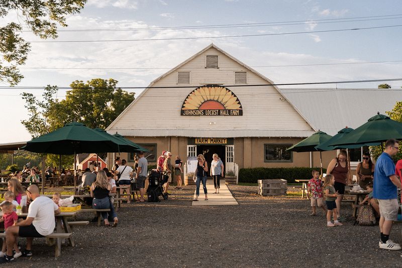 Dog-Friendly Grounds: Bring the Whole Family