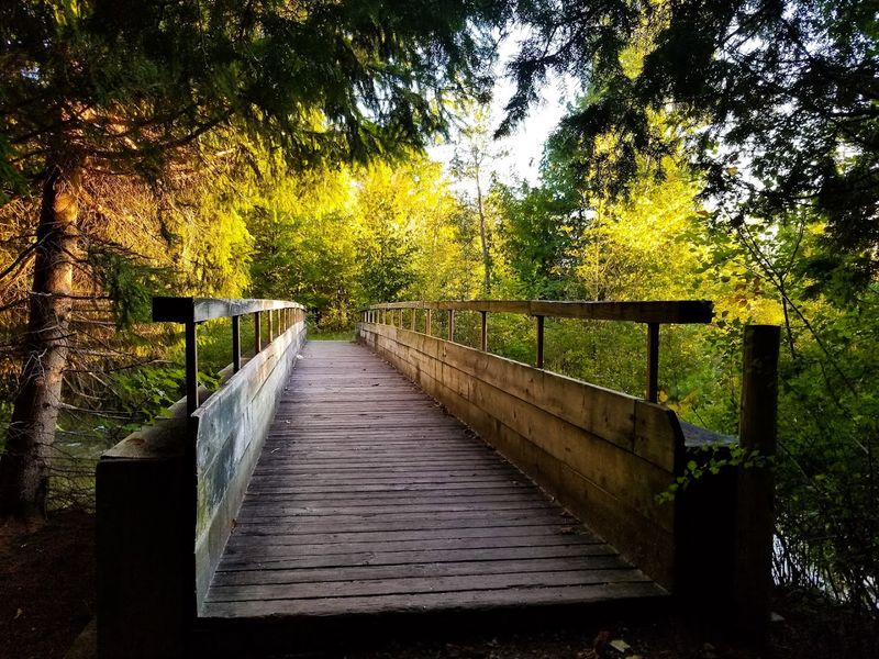 Easy to Explore Without Overthinking It