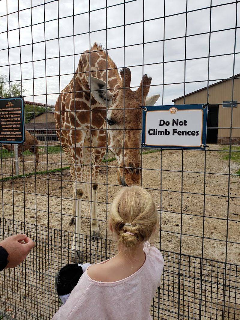 Why I would gladly go back