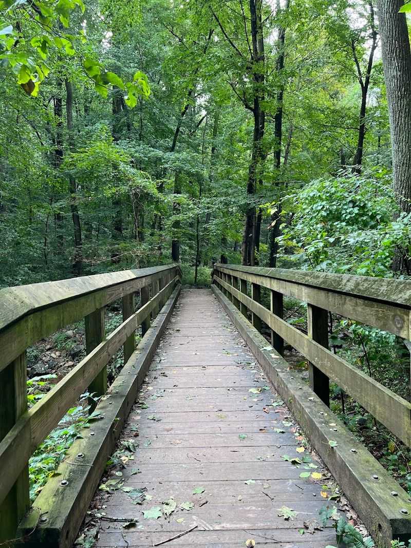 The Blue Dot Trail: A Different Route Down