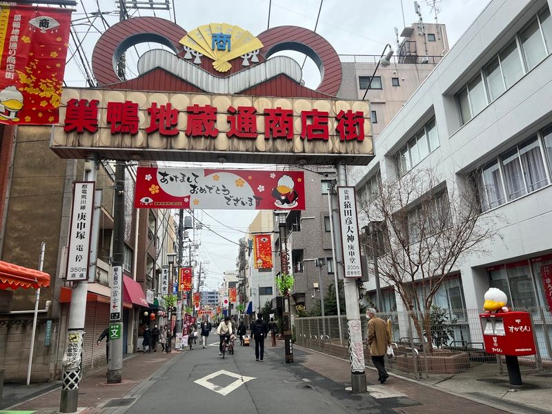 Sugamo Jizo-dori: Old Ladies' Harajuku, in the Best Way