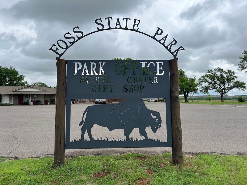 Planning Your Visit: Practical Tips to Make the Most of It