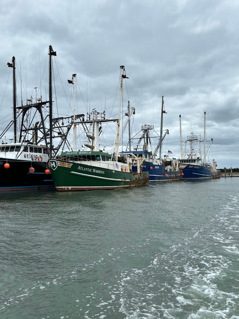 How to Book and What to Know Before You Go