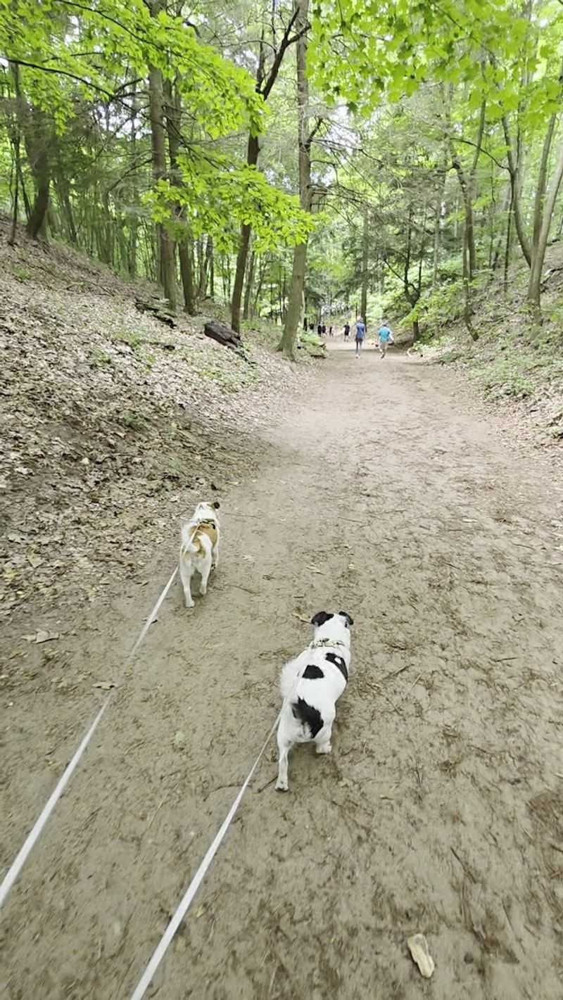 Trail Difficulty and Who Can Handle It