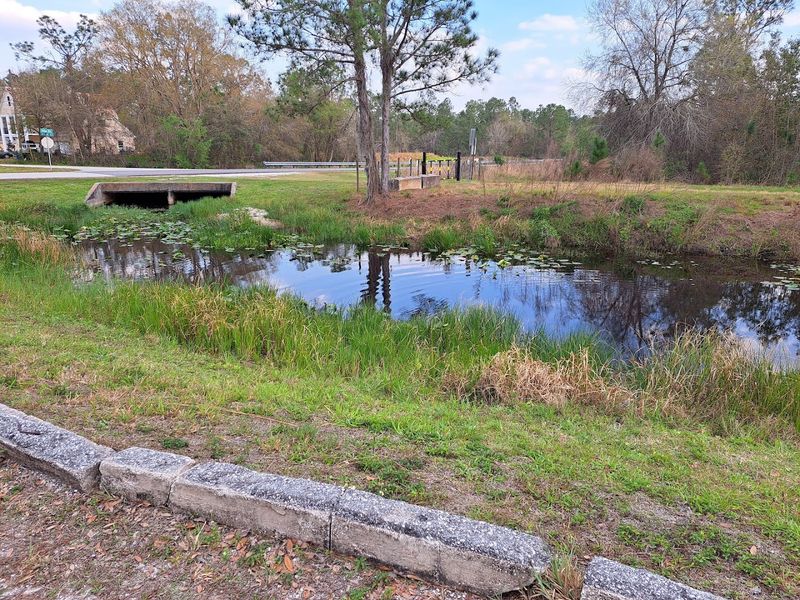 Is Sun N' Lake Right for You? What to Know Before You Buy