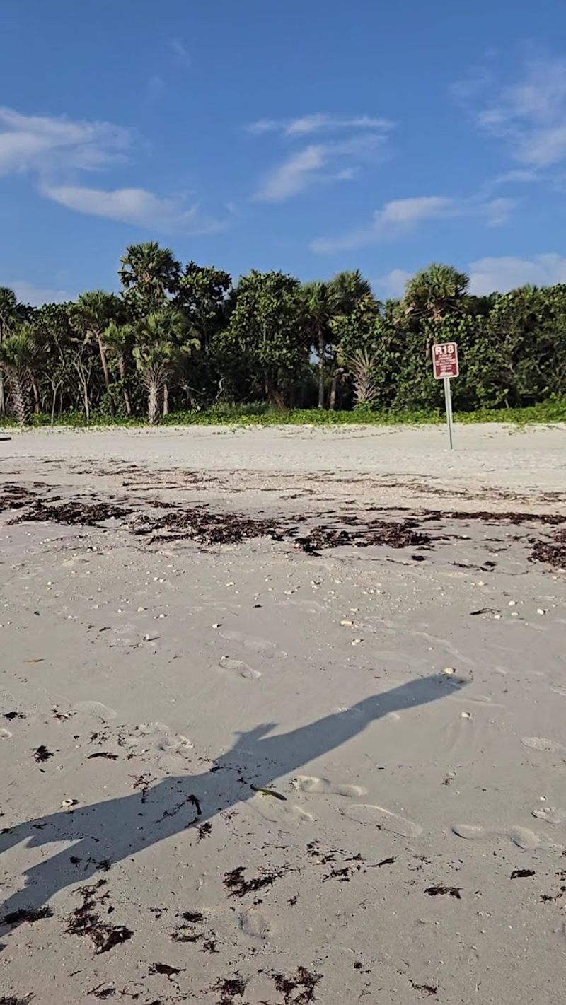 Practical Details About Parking and Entry Fees