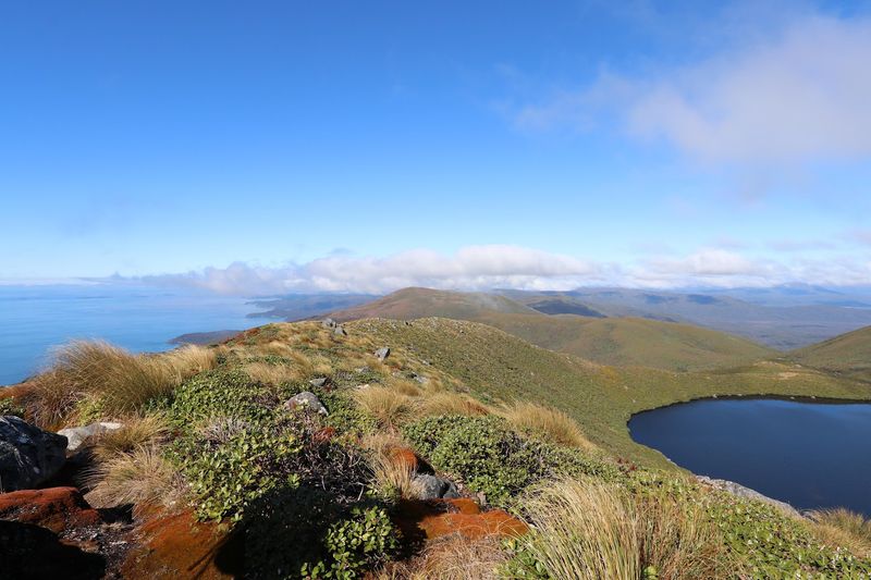 Stewart Island / Rakiura National Park, New Zealand