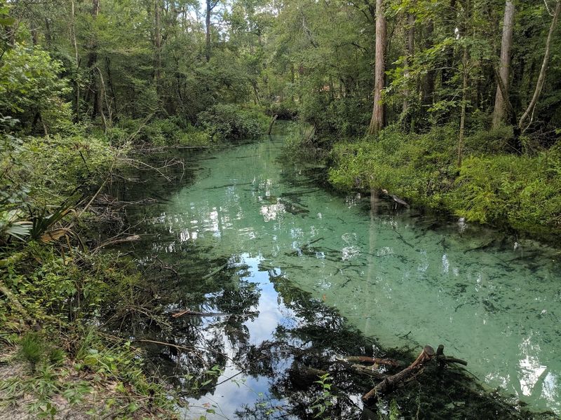 Wildlife Encounters Around Every Bend