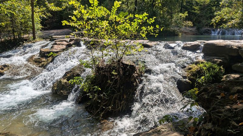 The Trails That Wind Through the Woodland