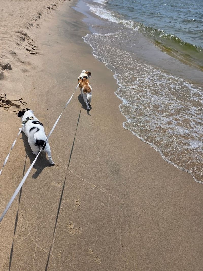 Walking the Shoreline: Exploring Beyond the Trail's End