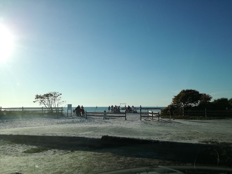 The Ferry to Caladesi Island