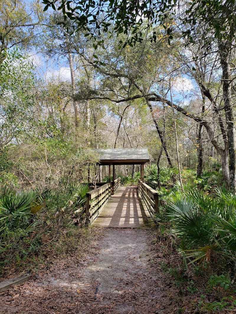 The Connection to River Rise Preserve