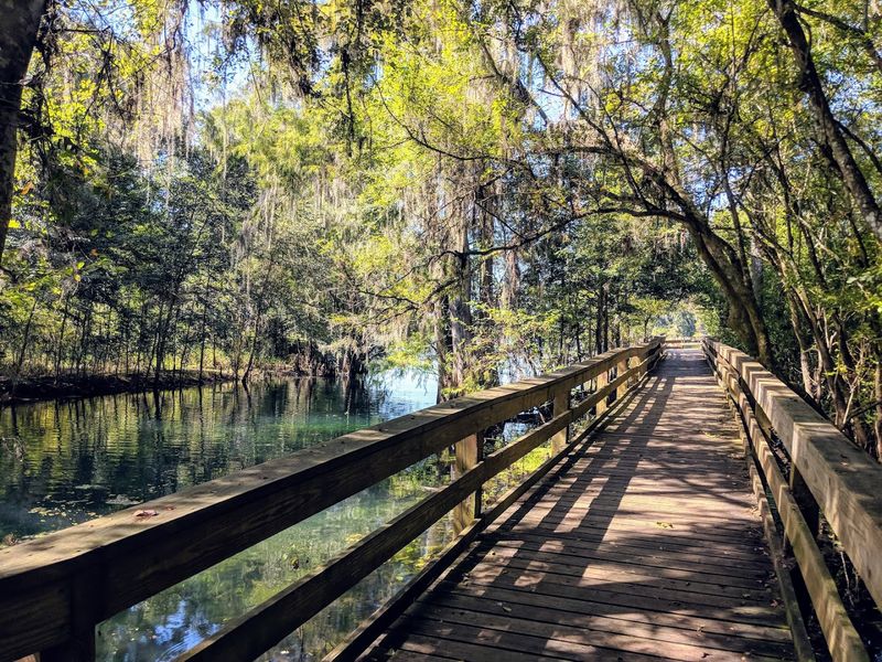 Hiking Trails and Nature Walks