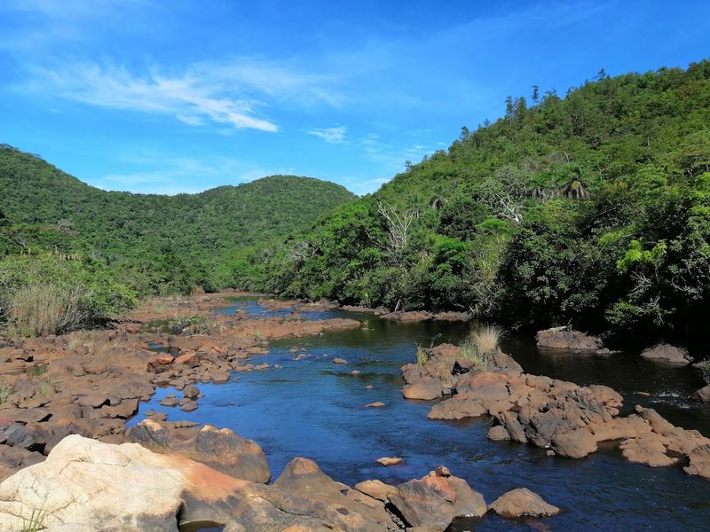 Belize Rainforests — Central America