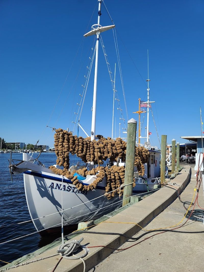 Sponge-Diving Boat Tours