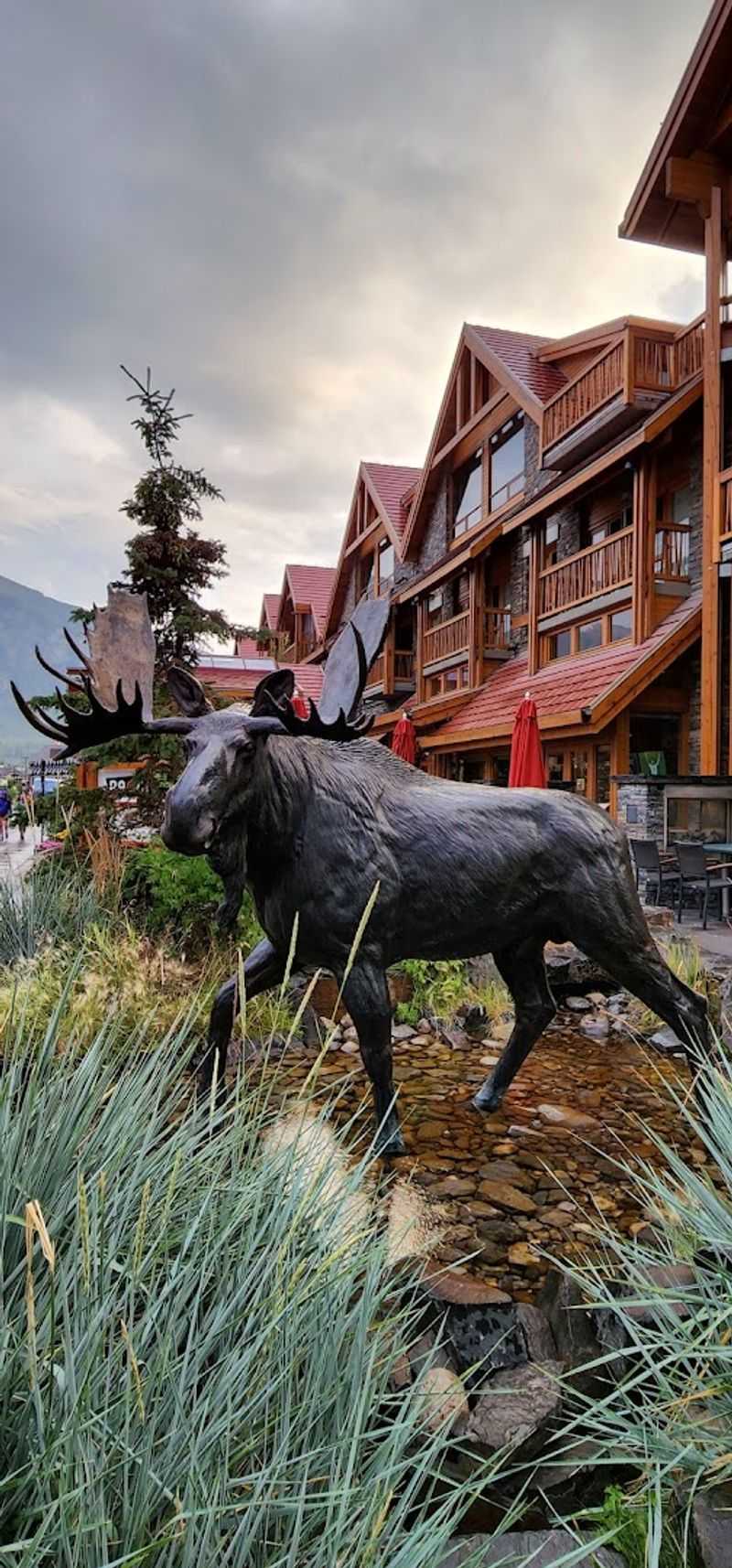 Banff, Canada: Golden Larches and Fewer Selfie Sticks