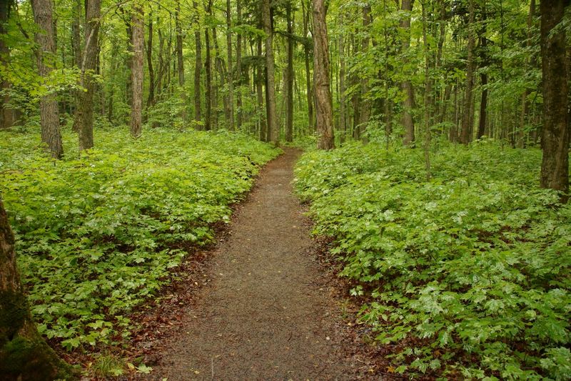 A trail that works for short walks and big ambitions