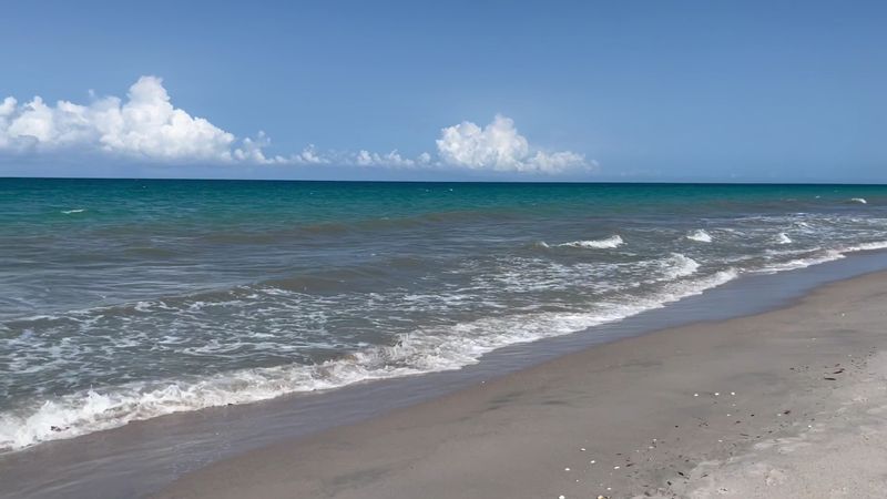You Can Actually Find Real Treasure on the Beach