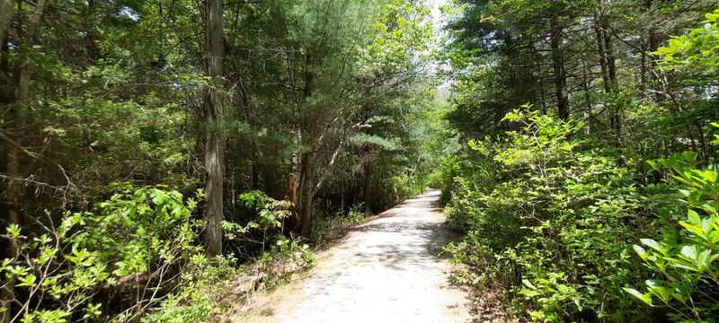 Trails for Every Kind of Walker