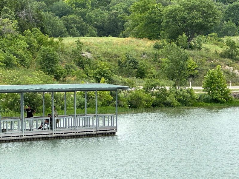 Fishing Off the Pier