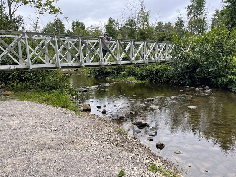 Practical Visitor Tips and Amenities